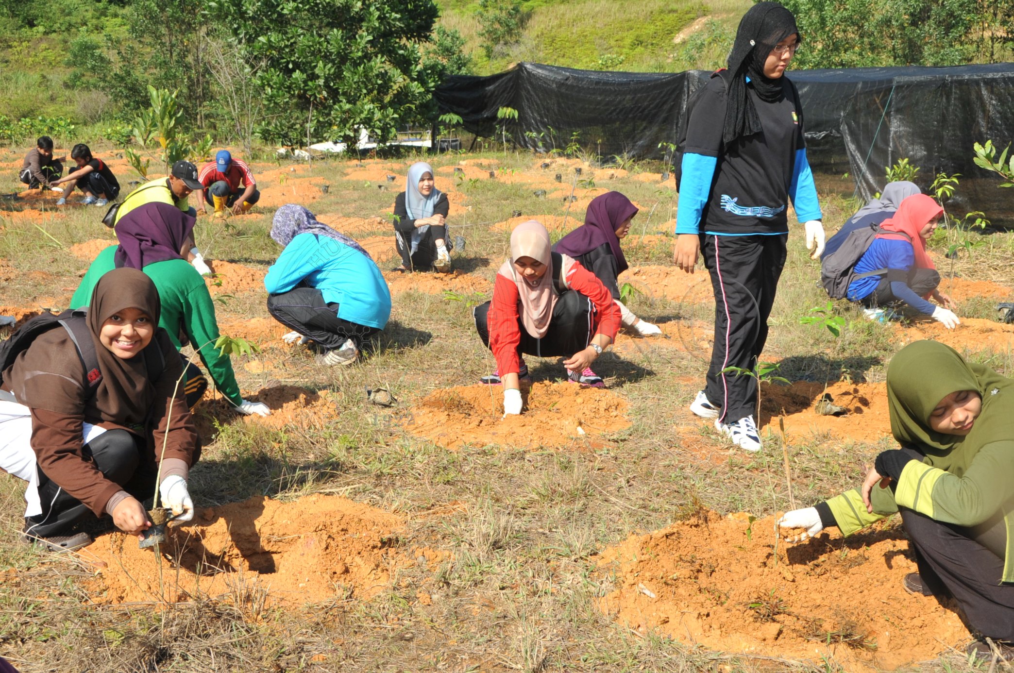 PRO 14 48 KARAS PRO 6718